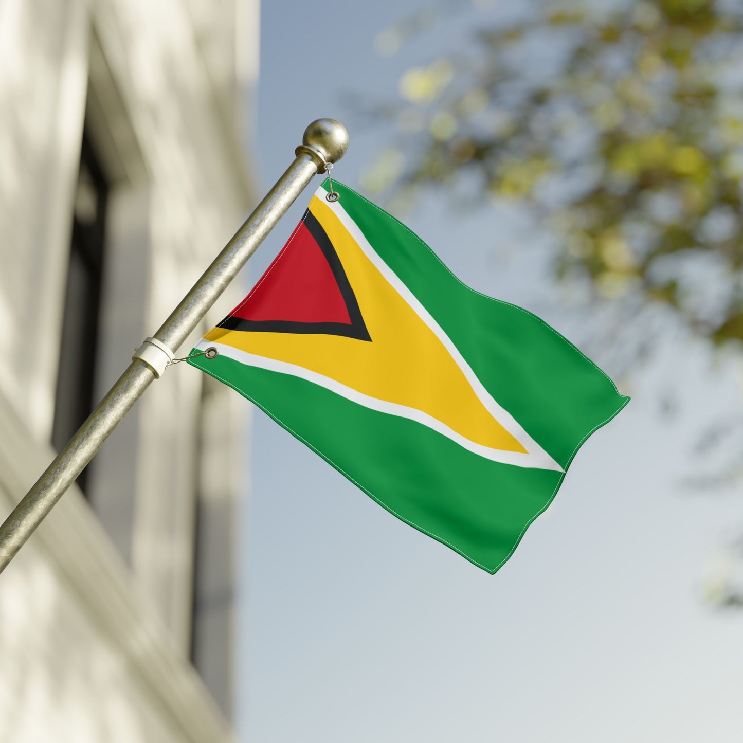 Flag Decor (Guyana)