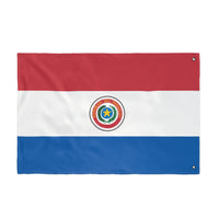 Outdoor Flag Paraguay