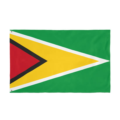 Flag Decor (Guyana)