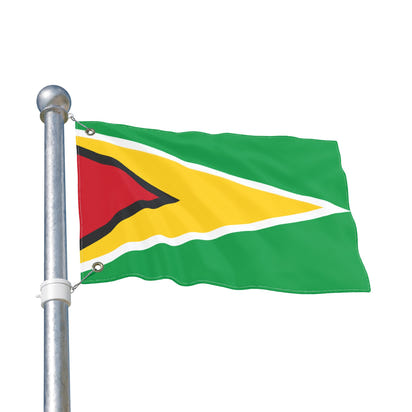 Flag Decor (Guyana)