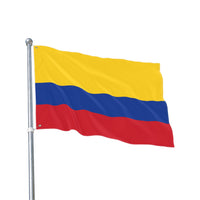 Flag Decoration (Colombia)