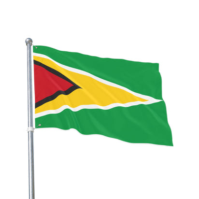 Flag Decor (Guyana)