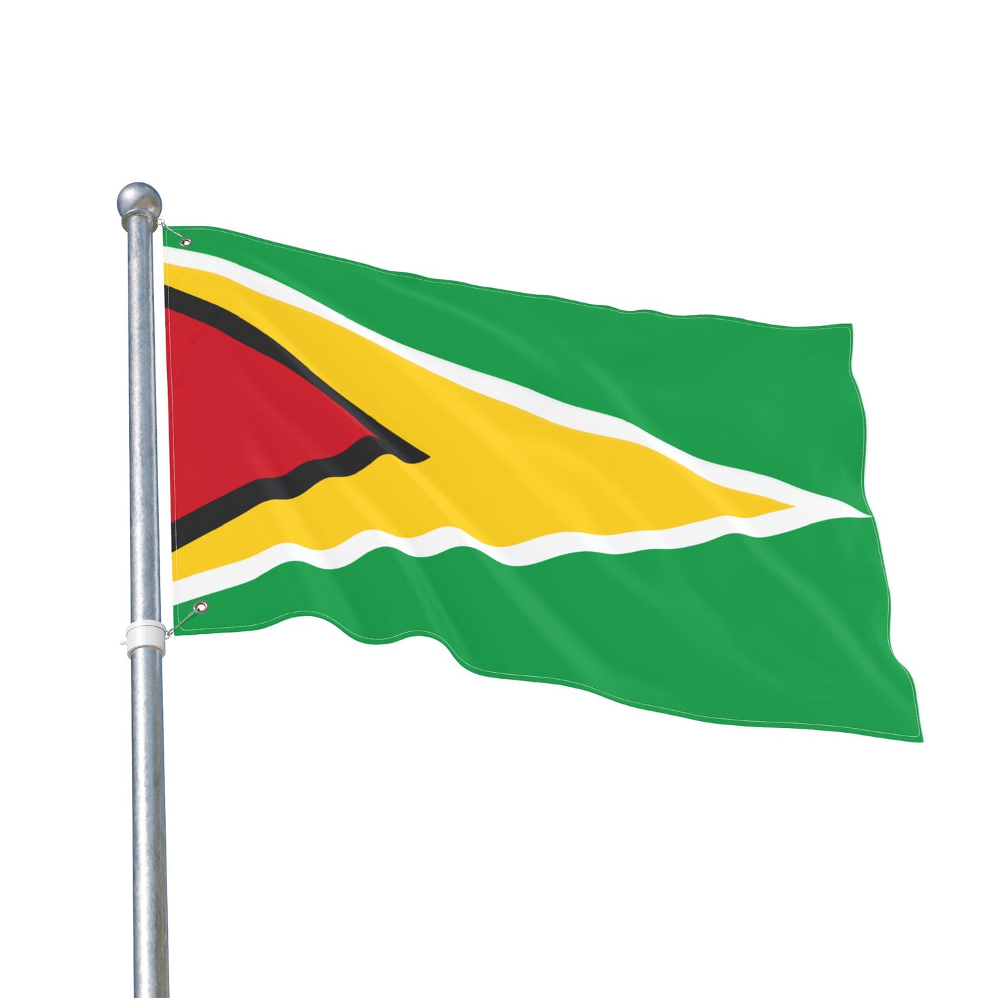 Flag Decor (Guyana)