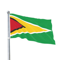 Flag Decor (Guyana)